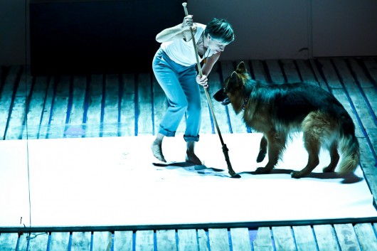 kotlina-wroclawski-teatr-wspolczesny-2014-04-14-530x353