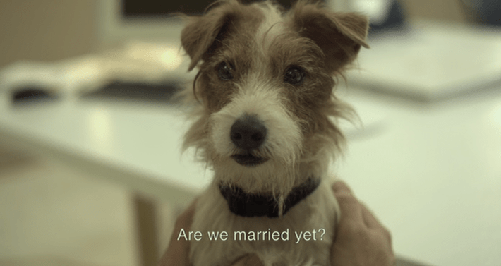 kultura_kulturalnie po godzinach