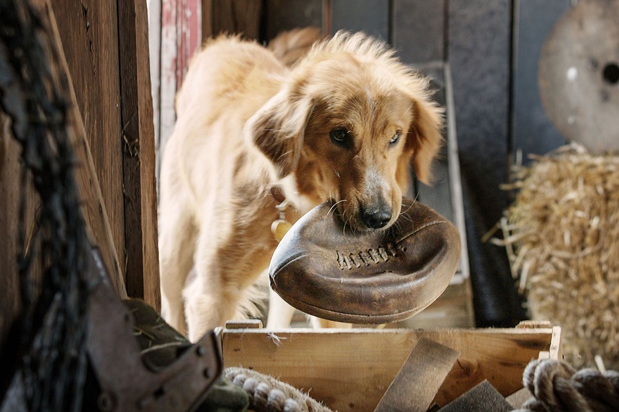 kulturalnie-po-godzinach-5